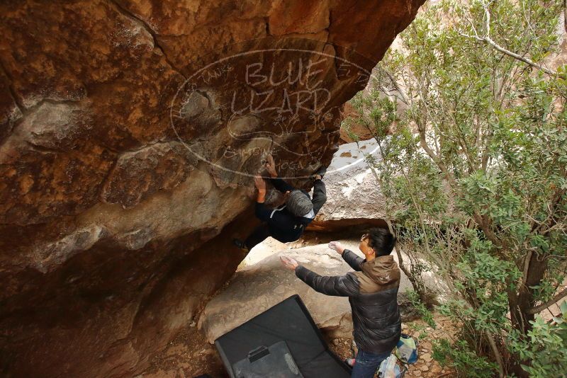 Bouldering in Hueco Tanks on 01/16/2020 with Blue Lizard Climbing and Yoga

Filename: SRM_20200116_1056010.jpg
Aperture: f/5.0
Shutter Speed: 1/250
Body: Canon EOS-1D Mark II
Lens: Canon EF 16-35mm f/2.8 L