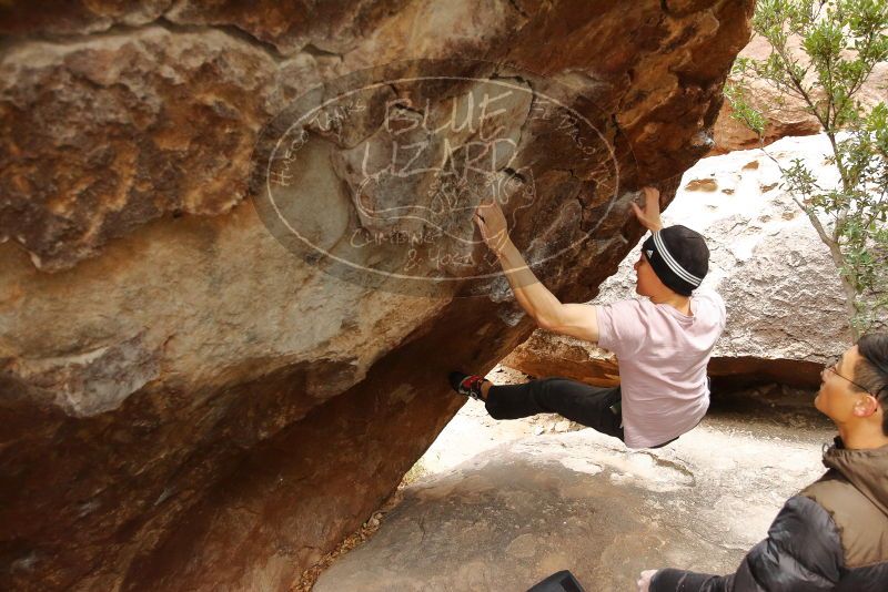 Bouldering in Hueco Tanks on 01/16/2020 with Blue Lizard Climbing and Yoga

Filename: SRM_20200116_1057230.jpg
Aperture: f/4.0
Shutter Speed: 1/250
Body: Canon EOS-1D Mark II
Lens: Canon EF 16-35mm f/2.8 L