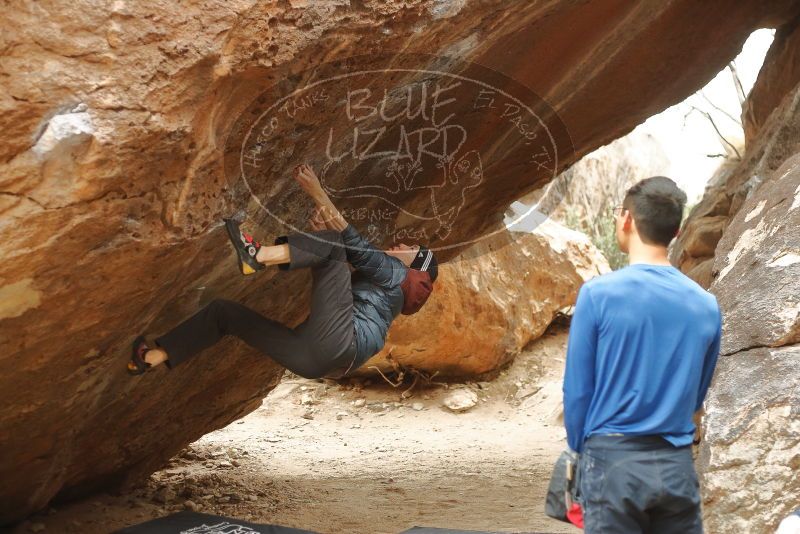 Bouldering in Hueco Tanks on 01/16/2020 with Blue Lizard Climbing and Yoga

Filename: SRM_20200116_1133270.jpg
Aperture: f/2.8
Shutter Speed: 1/320
Body: Canon EOS-1D Mark II
Lens: Canon EF 50mm f/1.8 II