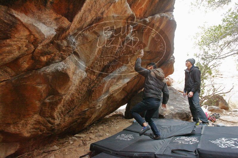 Bouldering in Hueco Tanks on 01/16/2020 with Blue Lizard Climbing and Yoga

Filename: SRM_20200116_1328341.jpg
Aperture: f/4.0
Shutter Speed: 1/250
Body: Canon EOS-1D Mark II
Lens: Canon EF 16-35mm f/2.8 L