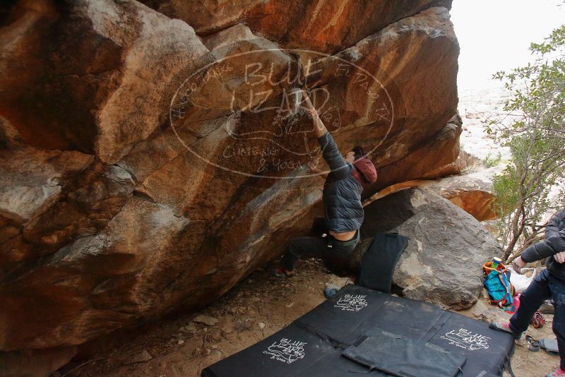 Bouldering in Hueco Tanks on 01/16/2020 with Blue Lizard Climbing and Yoga

Filename: SRM_20200116_1329200.jpg
Aperture: f/4.0
Shutter Speed: 1/250
Body: Canon EOS-1D Mark II
Lens: Canon EF 16-35mm f/2.8 L