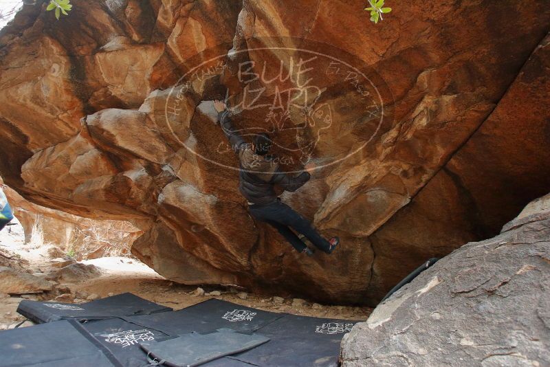 Bouldering in Hueco Tanks on 01/16/2020 with Blue Lizard Climbing and Yoga

Filename: SRM_20200116_1331580.jpg
Aperture: f/4.0
Shutter Speed: 1/250
Body: Canon EOS-1D Mark II
Lens: Canon EF 16-35mm f/2.8 L