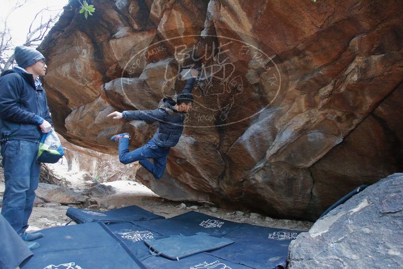 Bouldering in Hueco Tanks on 01/16/2020 with Blue Lizard Climbing and Yoga

Filename: SRM_20200116_1331590.jpg
Aperture: f/4.0
Shutter Speed: 1/250
Body: Canon EOS-1D Mark II
Lens: Canon EF 16-35mm f/2.8 L
