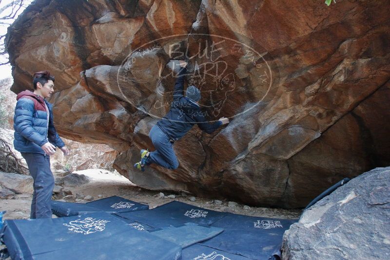 Bouldering in Hueco Tanks on 01/16/2020 with Blue Lizard Climbing and Yoga

Filename: SRM_20200116_1333360.jpg
Aperture: f/4.0
Shutter Speed: 1/250
Body: Canon EOS-1D Mark II
Lens: Canon EF 16-35mm f/2.8 L