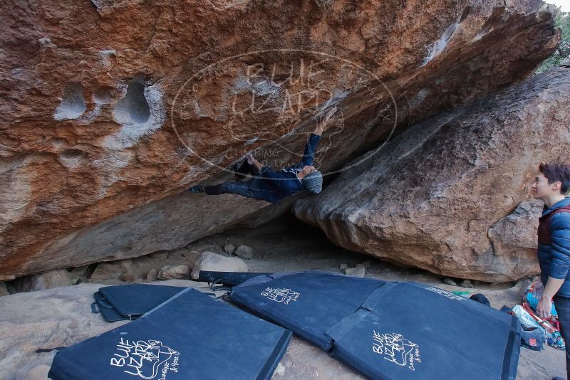 Bouldering in Hueco Tanks on 01/16/2020 with Blue Lizard Climbing and Yoga

Filename: SRM_20200116_1347330.jpg
Aperture: f/5.6
Shutter Speed: 1/250
Body: Canon EOS-1D Mark II
Lens: Canon EF 16-35mm f/2.8 L