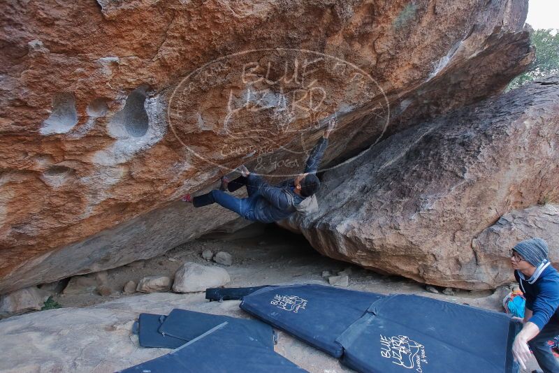 Bouldering in Hueco Tanks on 01/16/2020 with Blue Lizard Climbing and Yoga

Filename: SRM_20200116_1353220.jpg
Aperture: f/5.6
Shutter Speed: 1/320
Body: Canon EOS-1D Mark II
Lens: Canon EF 16-35mm f/2.8 L