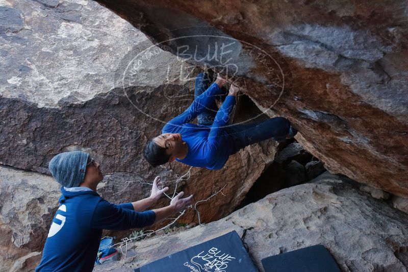 Bouldering in Hueco Tanks on 01/16/2020 with Blue Lizard Climbing and Yoga

Filename: SRM_20200116_1404210.jpg
Aperture: f/6.3
Shutter Speed: 1/320
Body: Canon EOS-1D Mark II
Lens: Canon EF 16-35mm f/2.8 L