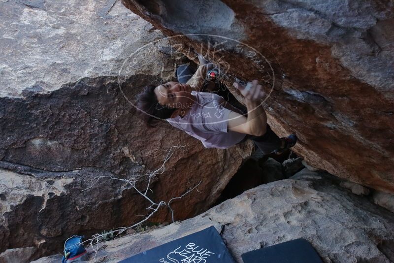 Bouldering in Hueco Tanks on 01/16/2020 with Blue Lizard Climbing and Yoga

Filename: SRM_20200116_1407170.jpg
Aperture: f/7.1
Shutter Speed: 1/320
Body: Canon EOS-1D Mark II
Lens: Canon EF 16-35mm f/2.8 L