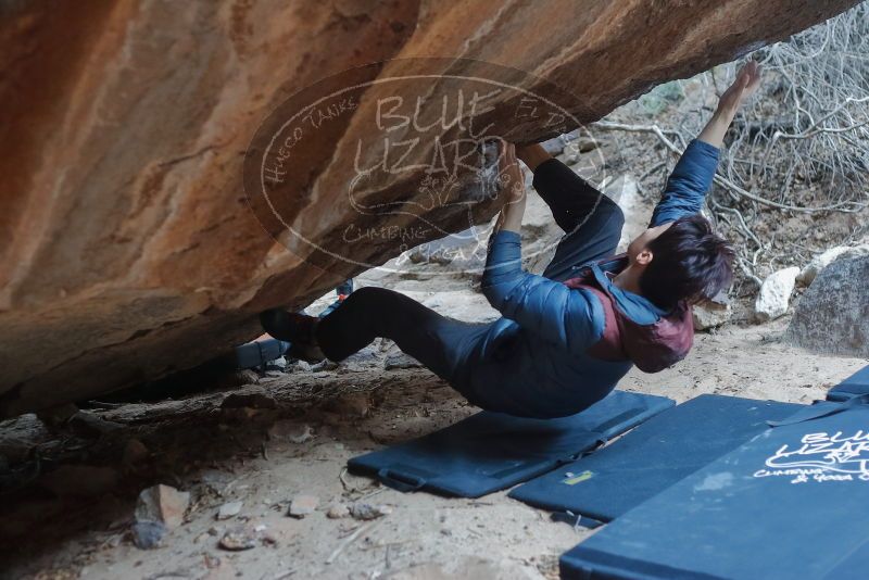 Bouldering in Hueco Tanks on 01/16/2020 with Blue Lizard Climbing and Yoga

Filename: SRM_20200116_1440500.jpg
Aperture: f/2.8
Shutter Speed: 1/250
Body: Canon EOS-1D Mark II
Lens: Canon EF 50mm f/1.8 II