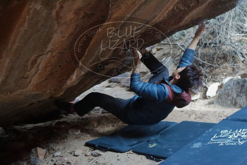 Bouldering in Hueco Tanks on 01/16/2020 with Blue Lizard Climbing and Yoga

Filename: SRM_20200116_1443320.jpg
Aperture: f/4.0
Shutter Speed: 1/250
Body: Canon EOS-1D Mark II
Lens: Canon EF 50mm f/1.8 II