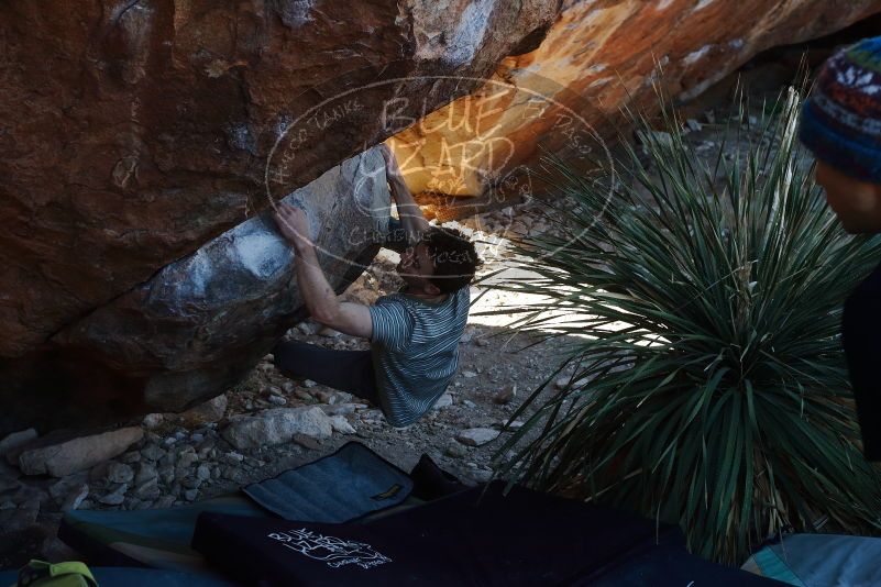 Bouldering in Hueco Tanks on 01/18/2020 with Blue Lizard Climbing and Yoga

Filename: SRM_20200118_1127130.jpg
Aperture: f/5.0
Shutter Speed: 1/250
Body: Canon EOS-1D Mark II
Lens: Canon EF 50mm f/1.8 II