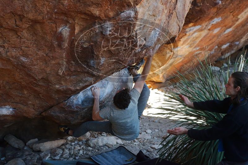 Bouldering in Hueco Tanks on 01/18/2020 with Blue Lizard Climbing and Yoga

Filename: SRM_20200118_1127300.jpg
Aperture: f/4.0
Shutter Speed: 1/250
Body: Canon EOS-1D Mark II
Lens: Canon EF 50mm f/1.8 II