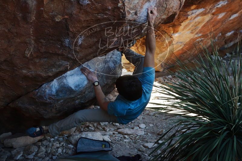 Bouldering in Hueco Tanks on 01/18/2020 with Blue Lizard Climbing and Yoga

Filename: SRM_20200118_1129560.jpg
Aperture: f/6.3
Shutter Speed: 1/250
Body: Canon EOS-1D Mark II
Lens: Canon EF 50mm f/1.8 II