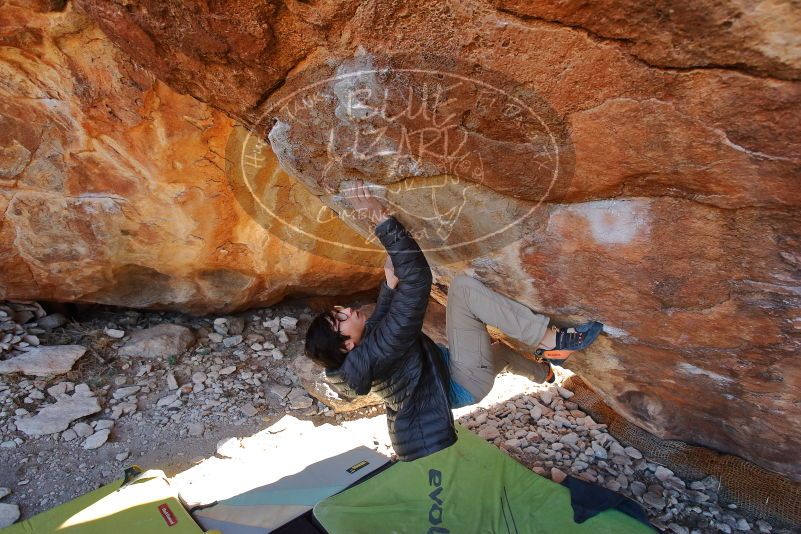 Bouldering in Hueco Tanks on 01/18/2020 with Blue Lizard Climbing and Yoga

Filename: SRM_20200118_1153260.jpg
Aperture: f/5.0
Shutter Speed: 1/250
Body: Canon EOS-1D Mark II
Lens: Canon EF 16-35mm f/2.8 L