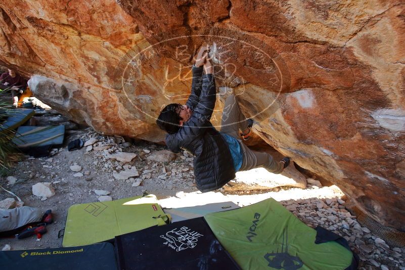 Bouldering in Hueco Tanks on 01/18/2020 with Blue Lizard Climbing and Yoga

Filename: SRM_20200118_1153350.jpg
Aperture: f/5.0
Shutter Speed: 1/250
Body: Canon EOS-1D Mark II
Lens: Canon EF 16-35mm f/2.8 L