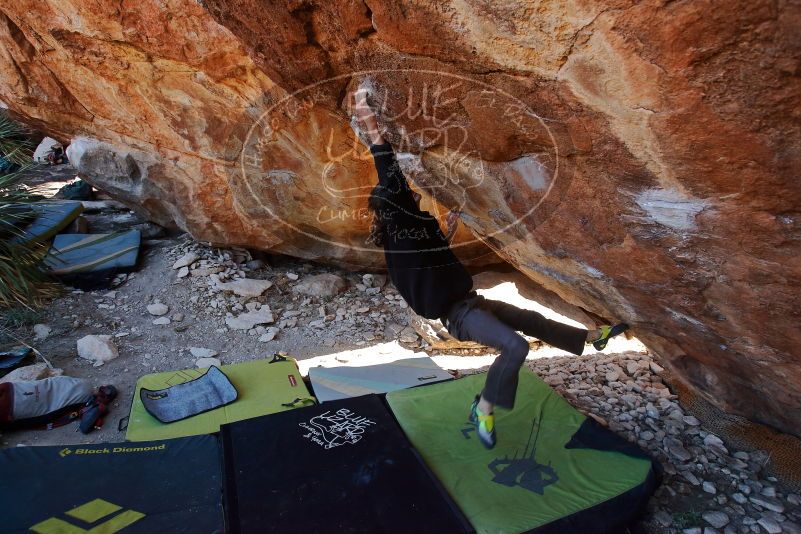 Bouldering in Hueco Tanks on 01/18/2020 with Blue Lizard Climbing and Yoga

Filename: SRM_20200118_1202500.jpg
Aperture: f/5.0
Shutter Speed: 1/250
Body: Canon EOS-1D Mark II
Lens: Canon EF 16-35mm f/2.8 L