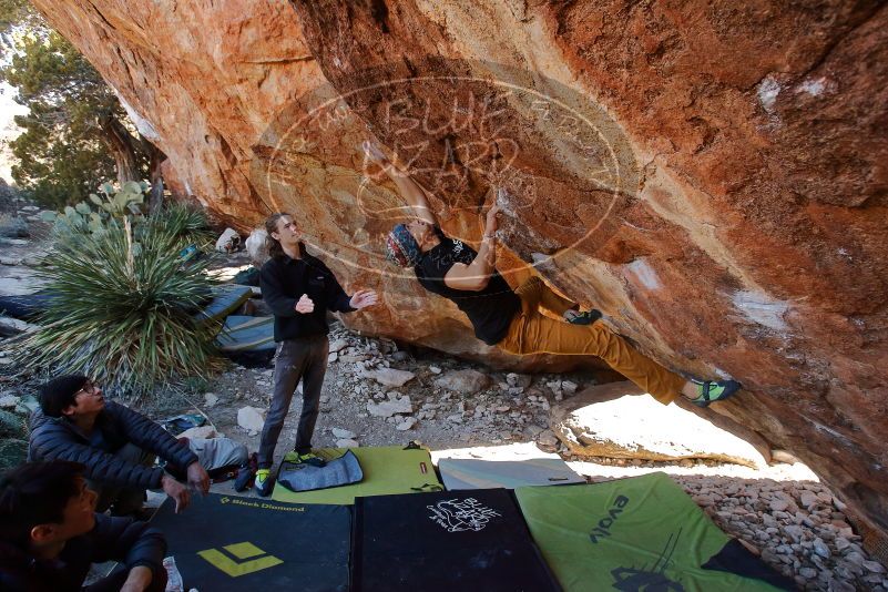 Bouldering in Hueco Tanks on 01/18/2020 with Blue Lizard Climbing and Yoga

Filename: SRM_20200118_1203590.jpg
Aperture: f/5.0
Shutter Speed: 1/250
Body: Canon EOS-1D Mark II
Lens: Canon EF 16-35mm f/2.8 L