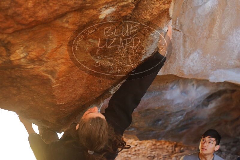Bouldering in Hueco Tanks on 01/18/2020 with Blue Lizard Climbing and Yoga

Filename: SRM_20200118_1344140.jpg
Aperture: f/2.8
Shutter Speed: 1/320
Body: Canon EOS-1D Mark II
Lens: Canon EF 50mm f/1.8 II