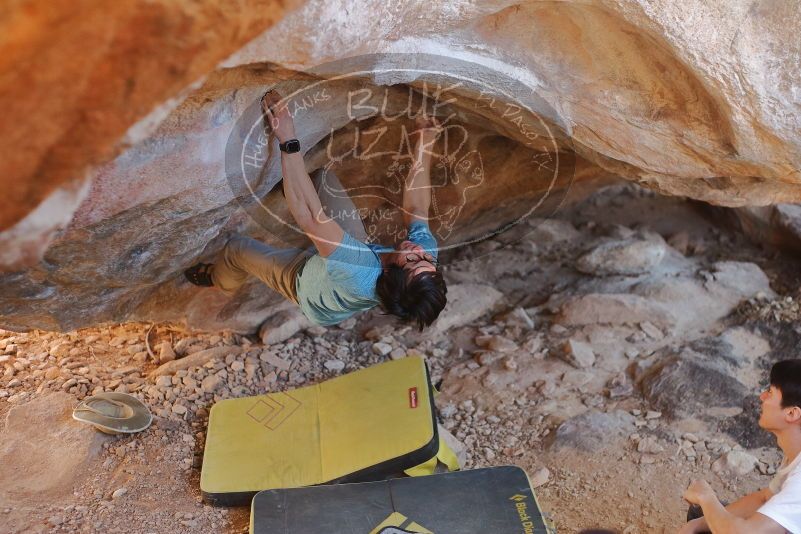 Bouldering in Hueco Tanks on 01/18/2020 with Blue Lizard Climbing and Yoga

Filename: SRM_20200118_1418140.jpg
Aperture: f/2.5
Shutter Speed: 1/250
Body: Canon EOS-1D Mark II
Lens: Canon EF 50mm f/1.8 II