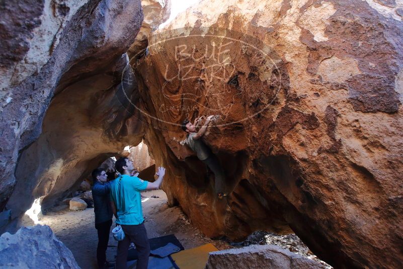 Bouldering in Hueco Tanks on 01/18/2020 with Blue Lizard Climbing and Yoga

Filename: SRM_20200118_1619270.jpg
Aperture: f/4.5
Shutter Speed: 1/250
Body: Canon EOS-1D Mark II
Lens: Canon EF 16-35mm f/2.8 L