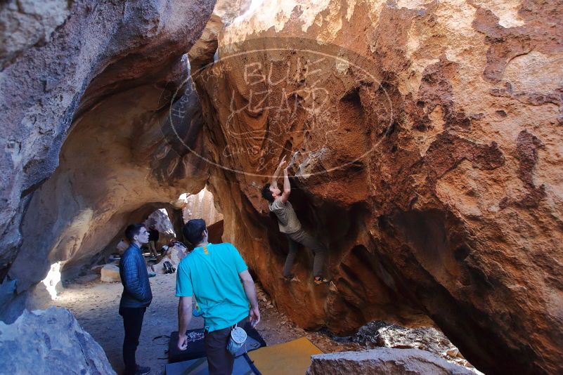 Bouldering in Hueco Tanks on 01/18/2020 with Blue Lizard Climbing and Yoga

Filename: SRM_20200118_1621130.jpg
Aperture: f/4.5
Shutter Speed: 1/250
Body: Canon EOS-1D Mark II
Lens: Canon EF 16-35mm f/2.8 L