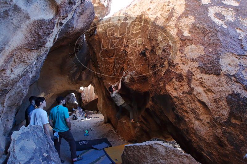 Bouldering in Hueco Tanks on 01/18/2020 with Blue Lizard Climbing and Yoga

Filename: SRM_20200118_1623500.jpg
Aperture: f/5.0
Shutter Speed: 1/250
Body: Canon EOS-1D Mark II
Lens: Canon EF 16-35mm f/2.8 L
