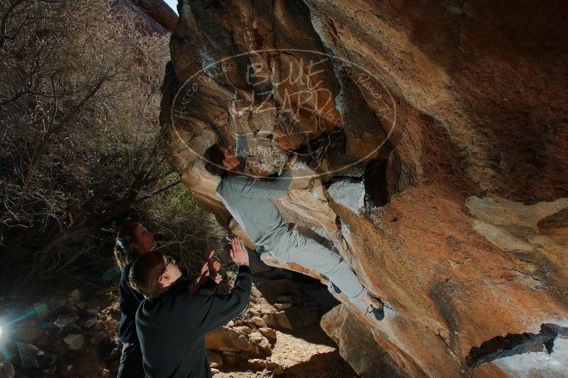 Bouldering in Hueco Tanks on 01/19/2020 with Blue Lizard Climbing and Yoga

Filename: SRM_20200119_1214570.jpg
Aperture: f/8.0
Shutter Speed: 1/250
Body: Canon EOS-1D Mark II
Lens: Canon EF 16-35mm f/2.8 L