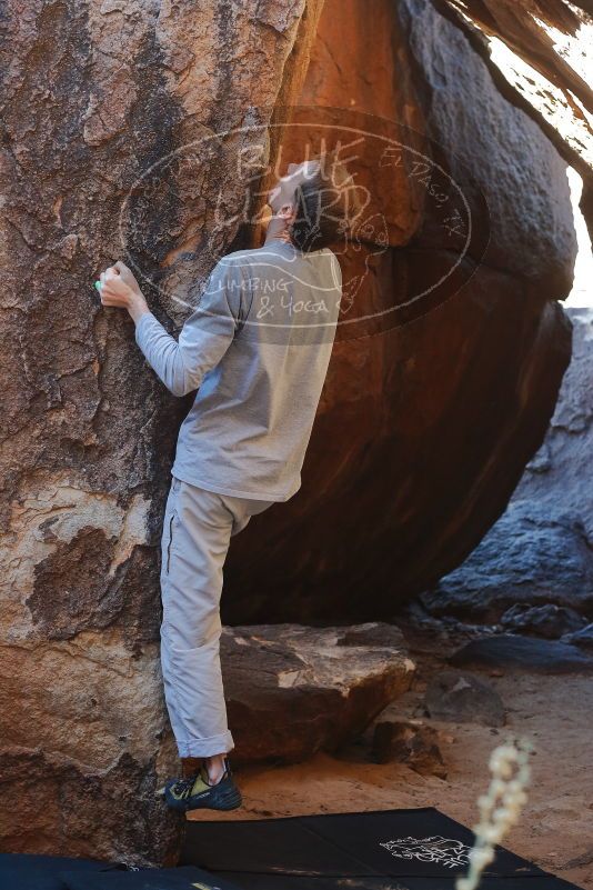 Bouldering in Hueco Tanks on 01/19/2020 with Blue Lizard Climbing and Yoga

Filename: SRM_20200119_1301190.jpg
Aperture: f/4.0
Shutter Speed: 1/320
Body: Canon EOS-1D Mark II
Lens: Canon EF 50mm f/1.8 II