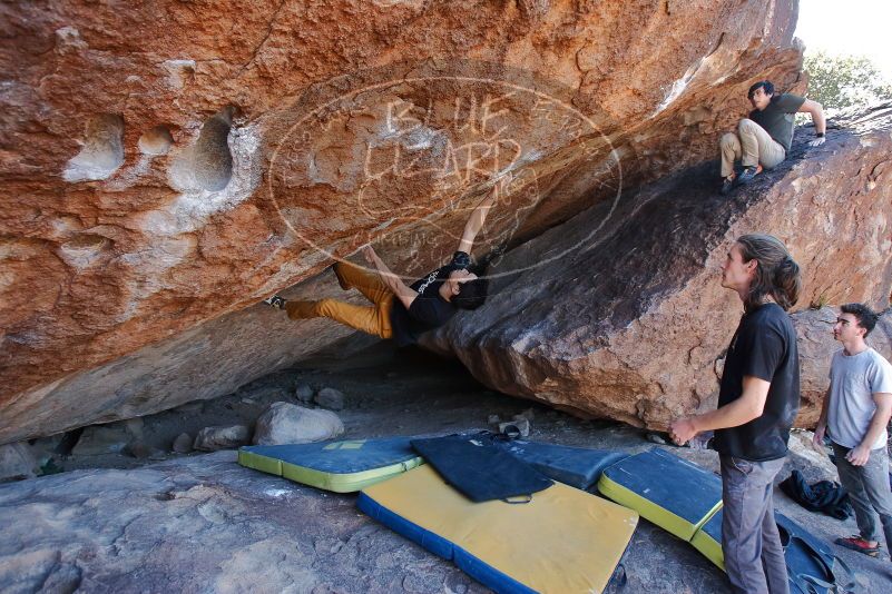 Bouldering in Hueco Tanks on 01/19/2020 with Blue Lizard Climbing and Yoga

Filename: SRM_20200119_1308540.jpg
Aperture: f/5.0
Shutter Speed: 1/320
Body: Canon EOS-1D Mark II
Lens: Canon EF 16-35mm f/2.8 L