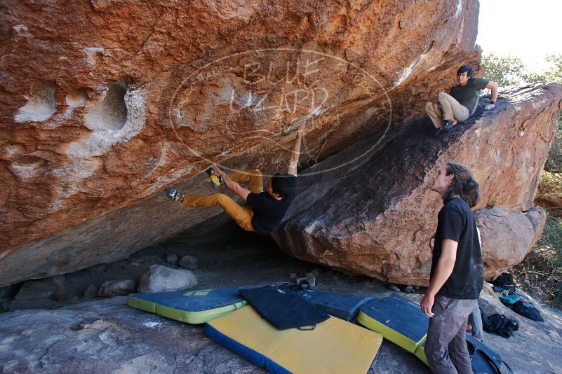 Bouldering in Hueco Tanks on 01/19/2020 with Blue Lizard Climbing and Yoga

Filename: SRM_20200119_1309040.jpg
Aperture: f/5.0
Shutter Speed: 1/320
Body: Canon EOS-1D Mark II
Lens: Canon EF 16-35mm f/2.8 L