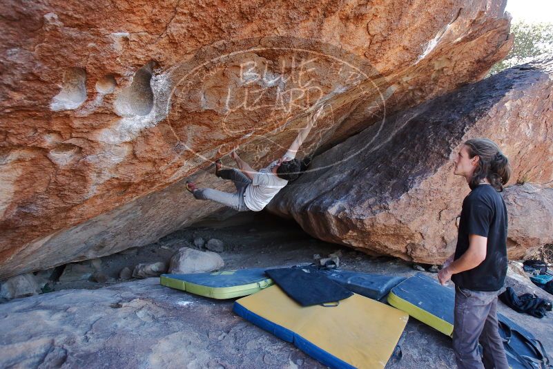 Bouldering in Hueco Tanks on 01/19/2020 with Blue Lizard Climbing and Yoga

Filename: SRM_20200119_1310270.jpg
Aperture: f/4.5
Shutter Speed: 1/320
Body: Canon EOS-1D Mark II
Lens: Canon EF 16-35mm f/2.8 L