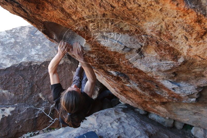 Bouldering in Hueco Tanks on 01/19/2020 with Blue Lizard Climbing and Yoga

Filename: SRM_20200119_1338020.jpg
Aperture: f/5.0
Shutter Speed: 1/320
Body: Canon EOS-1D Mark II
Lens: Canon EF 16-35mm f/2.8 L