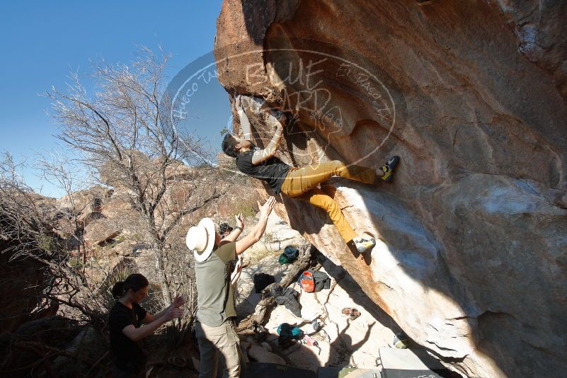 Bouldering in Hueco Tanks on 01/19/2020 with Blue Lizard Climbing and Yoga

Filename: SRM_20200119_1603070.jpg
Aperture: f/5.6
Shutter Speed: 1/640
Body: Canon EOS-1D Mark II
Lens: Canon EF 16-35mm f/2.8 L