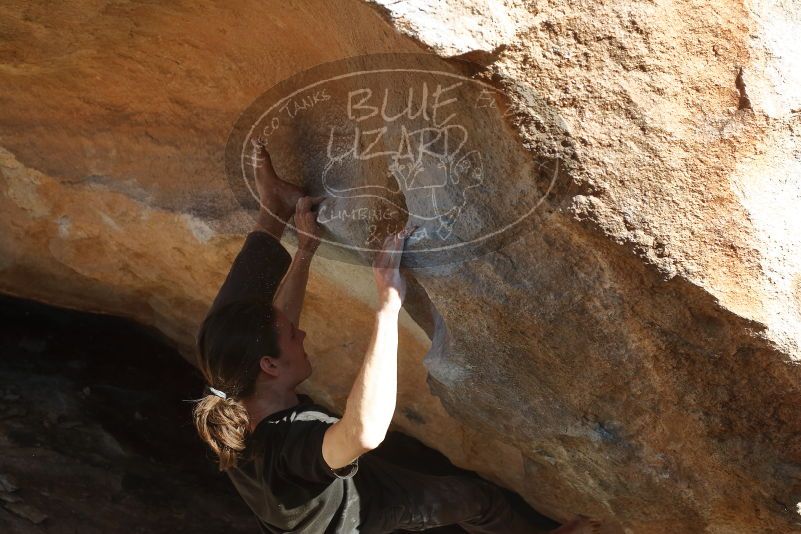 Bouldering in Hueco Tanks on 01/19/2020 with Blue Lizard Climbing and Yoga

Filename: SRM_20200119_1605340.jpg
Aperture: f/5.0
Shutter Speed: 1/500
Body: Canon EOS-1D Mark II
Lens: Canon EF 50mm f/1.8 II