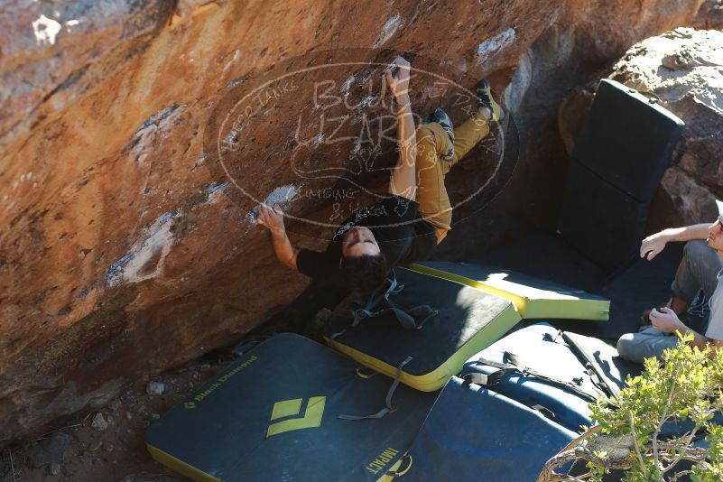 Bouldering in Hueco Tanks on 01/19/2020 with Blue Lizard Climbing and Yoga

Filename: SRM_20200119_1717360.jpg
Aperture: f/4.0
Shutter Speed: 1/320
Body: Canon EOS-1D Mark II
Lens: Canon EF 50mm f/1.8 II