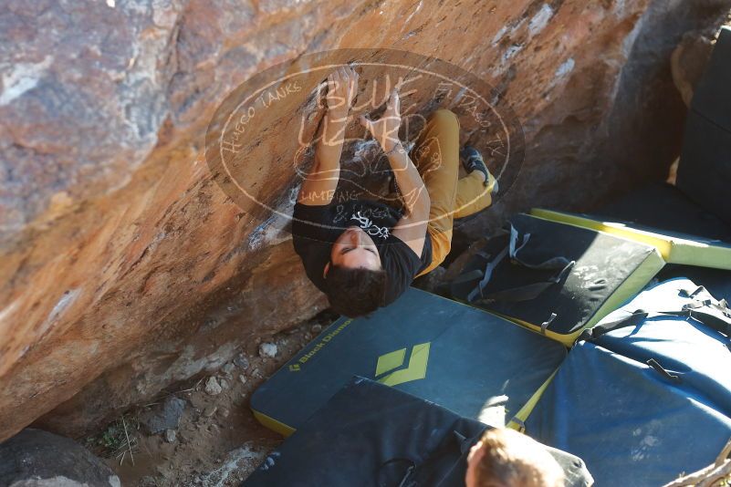 Bouldering in Hueco Tanks on 01/19/2020 with Blue Lizard Climbing and Yoga

Filename: SRM_20200119_1726280.jpg
Aperture: f/3.2
Shutter Speed: 1/320
Body: Canon EOS-1D Mark II
Lens: Canon EF 50mm f/1.8 II