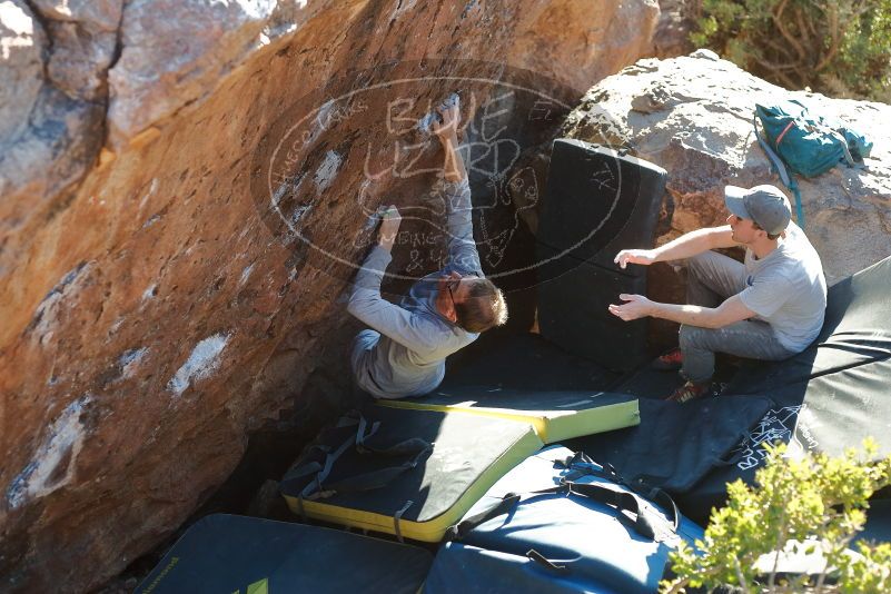 Bouldering in Hueco Tanks on 01/19/2020 with Blue Lizard Climbing and Yoga

Filename: SRM_20200119_1727310.jpg
Aperture: f/3.5
Shutter Speed: 1/320
Body: Canon EOS-1D Mark II
Lens: Canon EF 50mm f/1.8 II