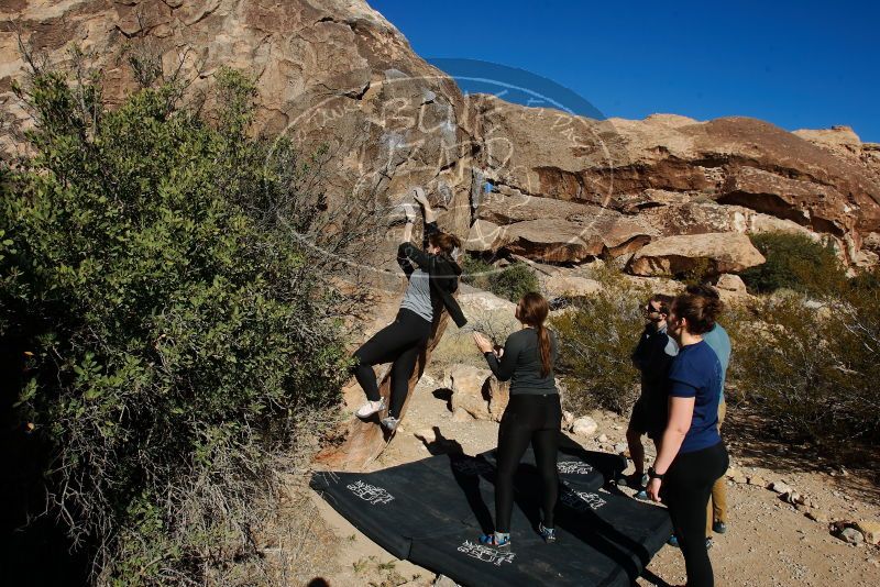 Bouldering in Hueco Tanks on 01/26/2020 with Blue Lizard Climbing and Yoga

Filename: SRM_20200126_1100150.jpg
Aperture: f/7.1
Shutter Speed: 1/400
Body: Canon EOS-1D Mark II
Lens: Canon EF 16-35mm f/2.8 L