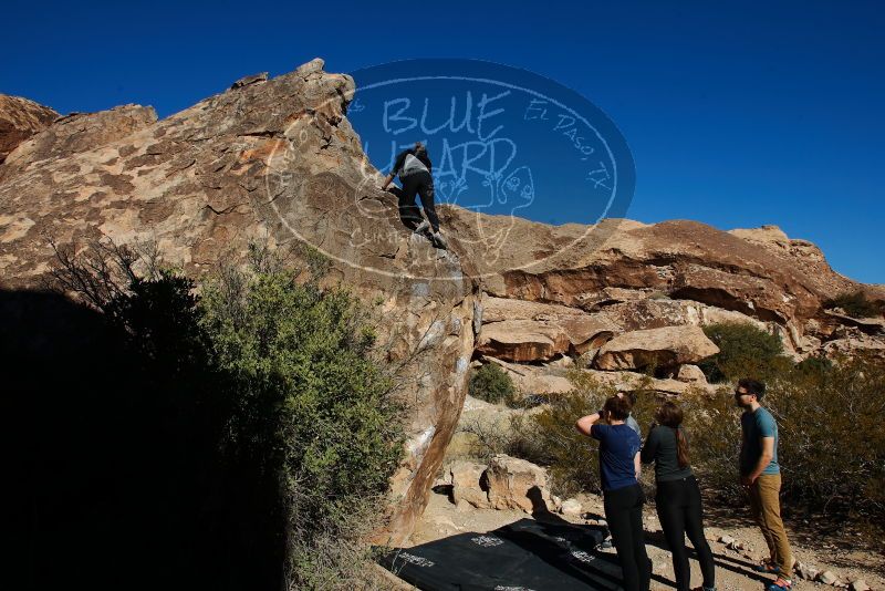 Bouldering in Hueco Tanks on 01/26/2020 with Blue Lizard Climbing and Yoga

Filename: SRM_20200126_1101240.jpg
Aperture: f/8.0
Shutter Speed: 1/400
Body: Canon EOS-1D Mark II
Lens: Canon EF 16-35mm f/2.8 L