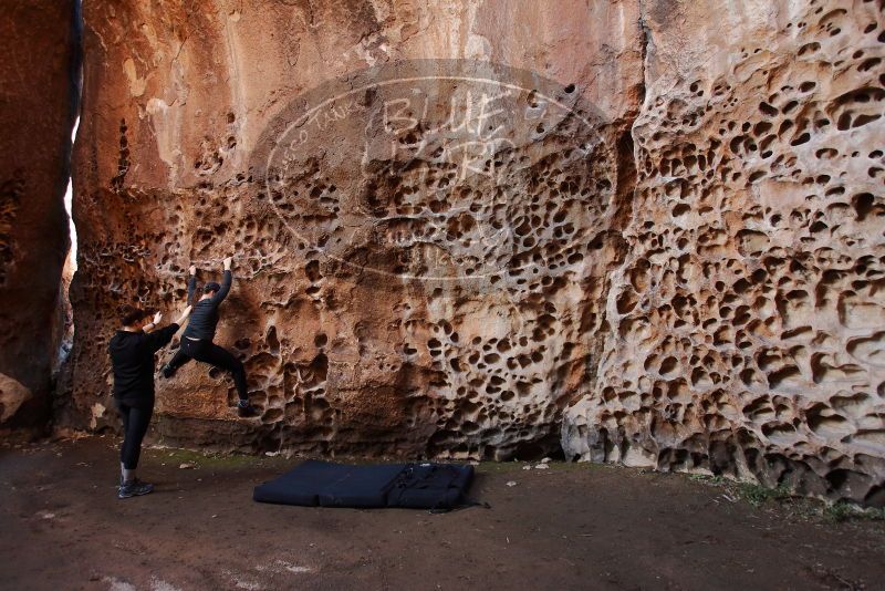 Bouldering in Hueco Tanks on 01/26/2020 with Blue Lizard Climbing and Yoga

Filename: SRM_20200126_1218170.jpg
Aperture: f/4.0
Shutter Speed: 1/125
Body: Canon EOS-1D Mark II
Lens: Canon EF 16-35mm f/2.8 L