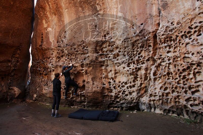 Bouldering in Hueco Tanks on 01/26/2020 with Blue Lizard Climbing and Yoga

Filename: SRM_20200126_1218270.jpg
Aperture: f/4.0
Shutter Speed: 1/125
Body: Canon EOS-1D Mark II
Lens: Canon EF 16-35mm f/2.8 L
