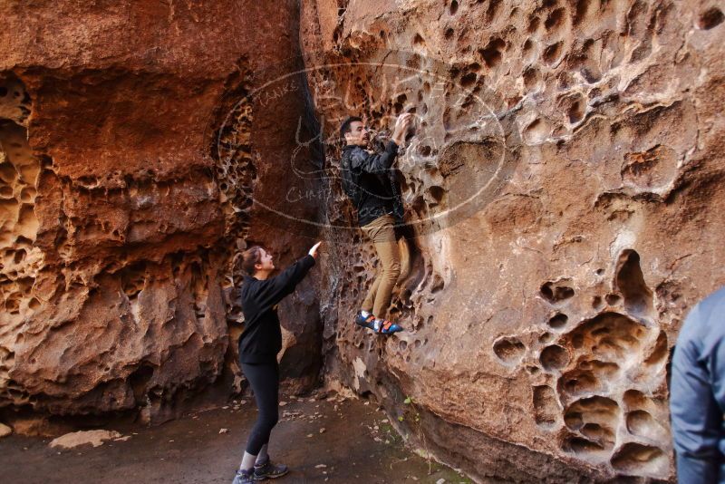 Bouldering in Hueco Tanks on 01/26/2020 with Blue Lizard Climbing and Yoga

Filename: SRM_20200126_1225130.jpg
Aperture: f/2.8
Shutter Speed: 1/125
Body: Canon EOS-1D Mark II
Lens: Canon EF 16-35mm f/2.8 L