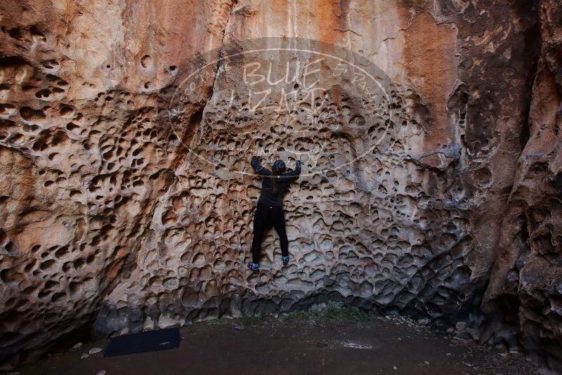 Bouldering in Hueco Tanks on 01/26/2020 with Blue Lizard Climbing and Yoga

Filename: SRM_20200126_1230200.jpg
Aperture: f/4.5
Shutter Speed: 1/125
Body: Canon EOS-1D Mark II
Lens: Canon EF 16-35mm f/2.8 L