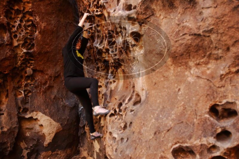 Bouldering in Hueco Tanks on 01/26/2020 with Blue Lizard Climbing and Yoga

Filename: SRM_20200126_1241020.jpg
Aperture: f/2.8
Shutter Speed: 1/125
Body: Canon EOS-1D Mark II
Lens: Canon EF 16-35mm f/2.8 L