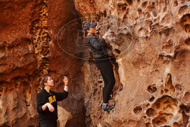Bouldering in Hueco Tanks on 01/26/2020 with Blue Lizard Climbing and Yoga

Filename: SRM_20200126_1253040.jpg
Aperture: f/2.8
Shutter Speed: 1/125
Body: Canon EOS-1D Mark II
Lens: Canon EF 50mm f/1.8 II