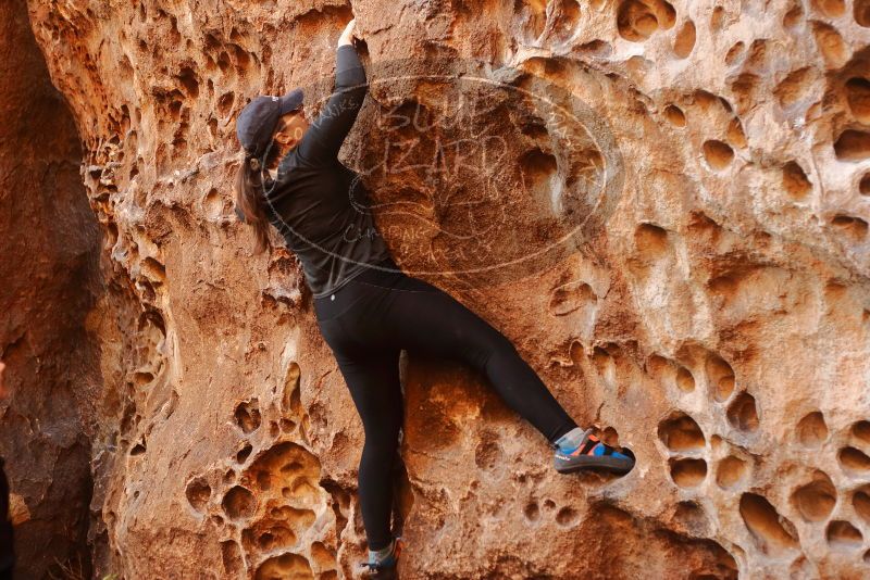 Bouldering in Hueco Tanks on 01/26/2020 with Blue Lizard Climbing and Yoga

Filename: SRM_20200126_1300100.jpg
Aperture: f/2.8
Shutter Speed: 1/125
Body: Canon EOS-1D Mark II
Lens: Canon EF 50mm f/1.8 II