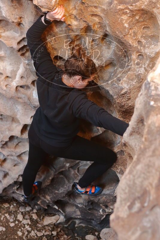 Bouldering in Hueco Tanks on 01/26/2020 with Blue Lizard Climbing and Yoga

Filename: SRM_20200126_1316290.jpg
Aperture: f/3.2
Shutter Speed: 1/125
Body: Canon EOS-1D Mark II
Lens: Canon EF 50mm f/1.8 II