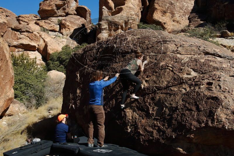 Bouldering in Hueco Tanks on 01/26/2020 with Blue Lizard Climbing and Yoga

Filename: SRM_20200126_1423360.jpg
Aperture: f/8.0
Shutter Speed: 1/400
Body: Canon EOS-1D Mark II
Lens: Canon EF 16-35mm f/2.8 L