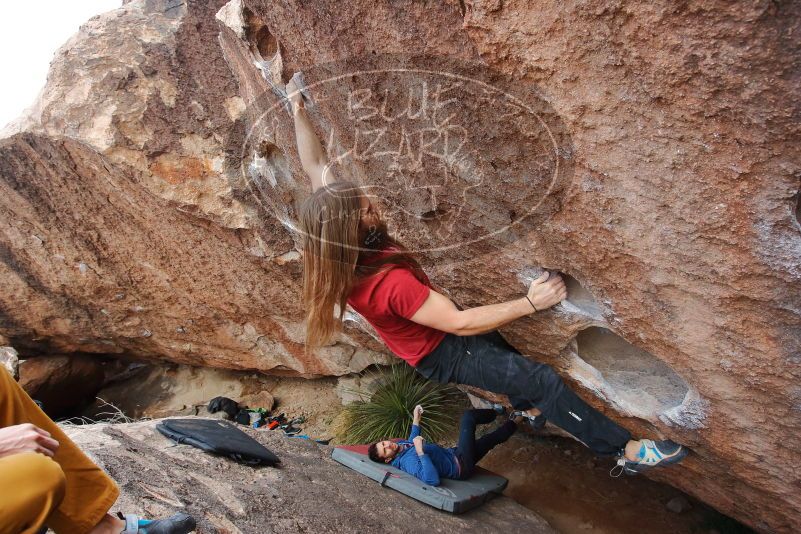 Bouldering in Hueco Tanks on 01/27/2020 with Blue Lizard Climbing and Yoga

Filename: SRM_20200127_1104180.jpg
Aperture: f/6.3
Shutter Speed: 1/250
Body: Canon EOS-1D Mark II
Lens: Canon EF 16-35mm f/2.8 L