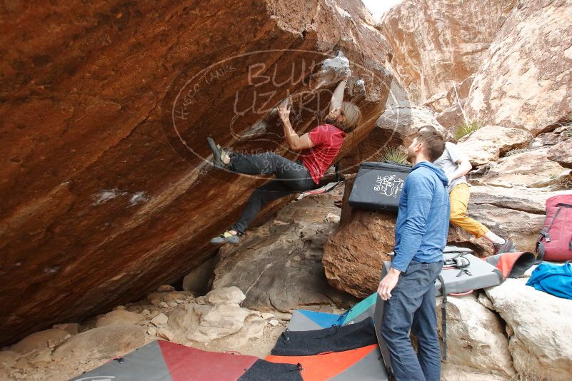 Bouldering in Hueco Tanks on 01/27/2020 with Blue Lizard Climbing and Yoga

Filename: SRM_20200127_1243540.jpg
Aperture: f/4.5
Shutter Speed: 1/250
Body: Canon EOS-1D Mark II
Lens: Canon EF 16-35mm f/2.8 L